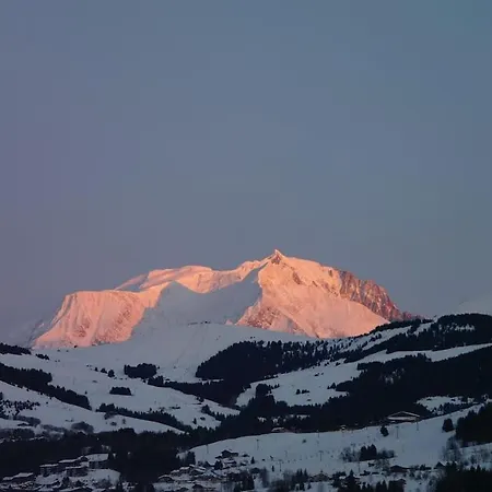 Apartment 2 Spacieux Dans Ferme Renovee Face Au Montblanc *