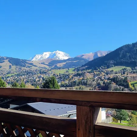 2 Spacieux Dans Ferme Renovee Face Au Montblanc Apartment *