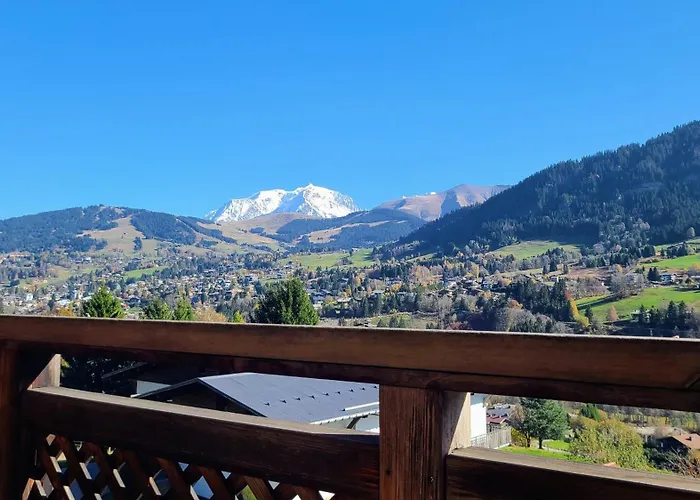 2 Spacieux Dans Ferme Renovee Face Au Montblanc Daire *