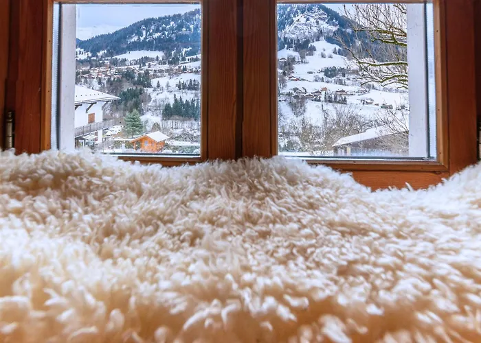 2 Spacieux Dans Ferme Renovee Face Au Montblanc Daire