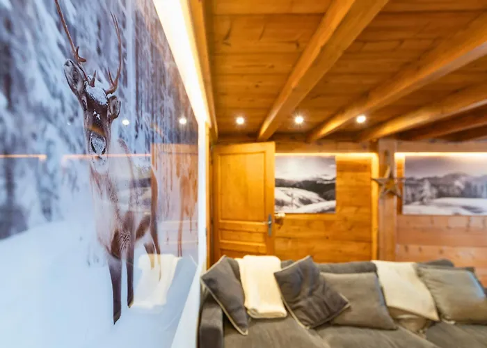 Daire 2 Spacieux Dans Ferme Renovee Face Au Montblanc Megève